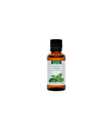 Huile essentielle Menthe Poivrée BIO 10ml - Compagnie des Sens