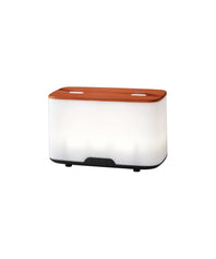 Diffuseur ultrasonique Duo