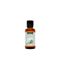 Huile essentielle Eucalyptus Radie BIO 10ml - Compagnie des Sens