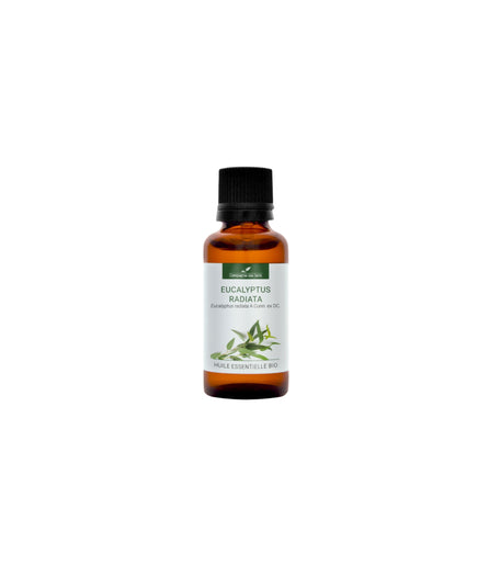 Huile essentielle Eucalyptus Radie BIO 10ml - Compagnie des Sens