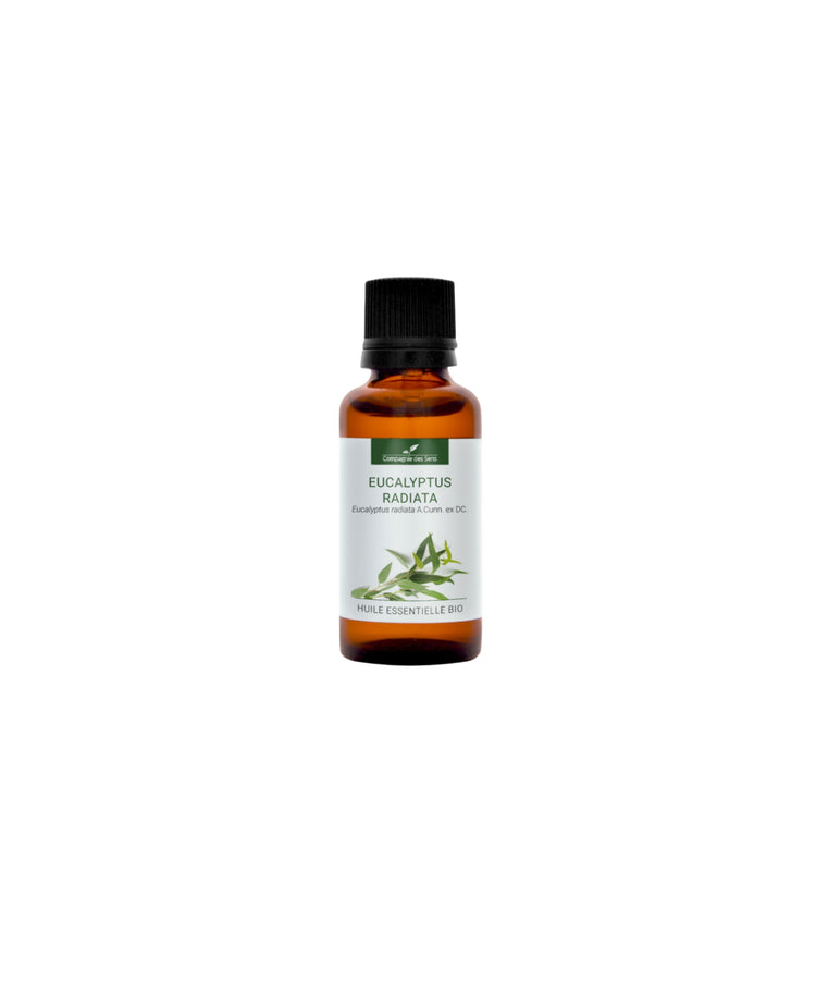 Huile essentielle Eucalyptus Radie BIO 10ml - Compagnie des Sens