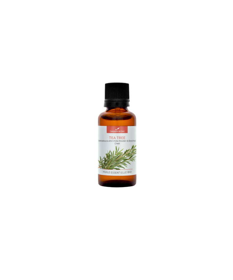 Huile essentielle Tea Tree BIO 10ml - Compagnie des Sens