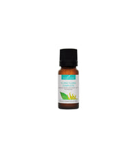 Huile essentielle Ylang Ylang BIO 10ml - Compagnie des Sens