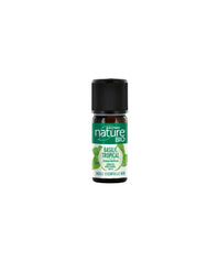 Huile essentielle Basilic tropical bio 10ml - Boutique Nature